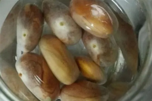 怎么种菠萝蜜，播种前需要浸种