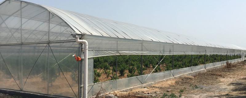 大棚的放风方法，根据天气状况控制放风口的宽度