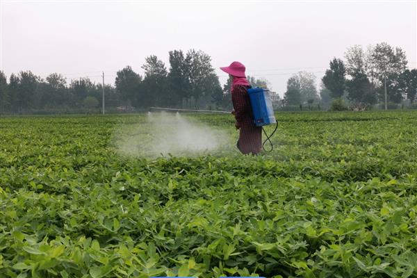 花生打除草剂用哪种药，可以使用精喹禾灵、氟磺胺等