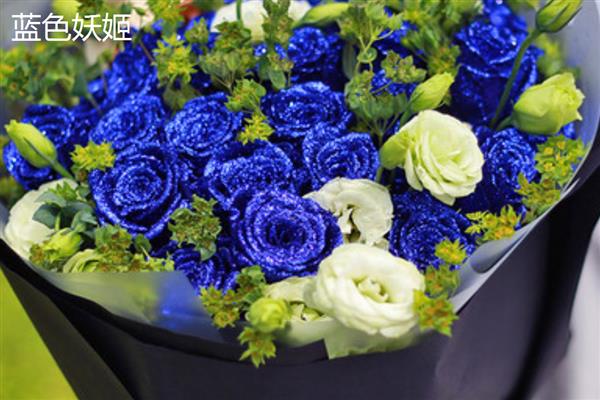 玫瑰花有什么品种，戴安娜、卡罗拉等品种很常见