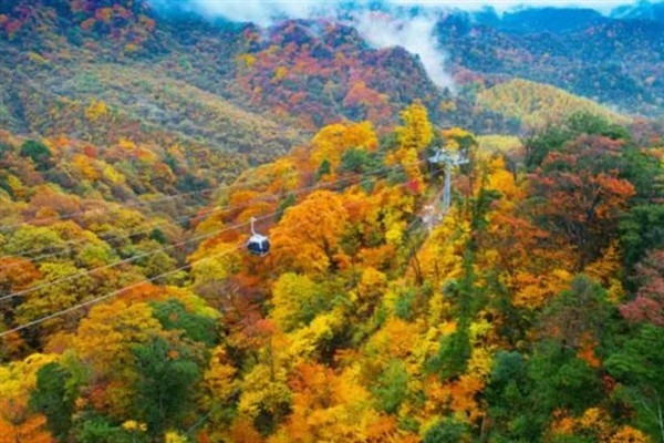 光雾山红叶的观赏最佳时间，10月下旬持续到11月上旬