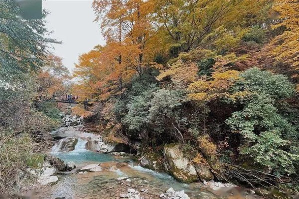 光雾山红叶的观赏最佳时间，10月下旬持续到11月上旬