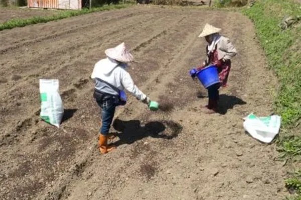 土里的小飞虫如何根除，可以购买粘虫纸板