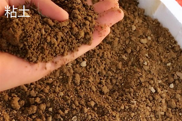 三类土有哪些土,包括粘土、重壤土等
