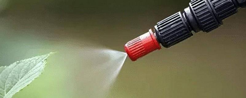 雨季喷农药要注意什么，添加粘着剂可增强防治效果