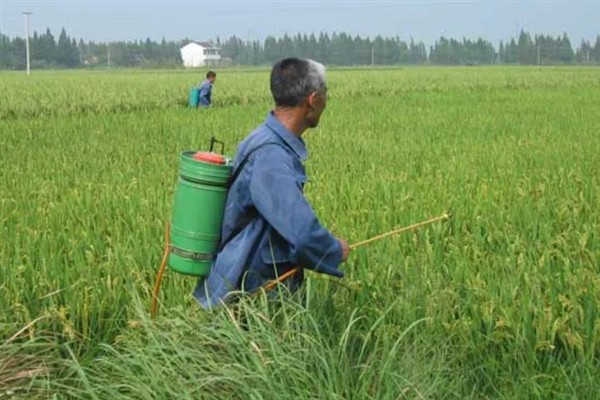 雨季喷农药要注意什么，添加粘着剂可增强防治效果