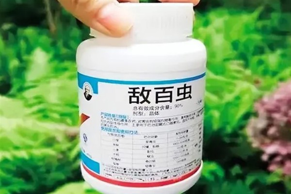 雨季喷农药要注意什么，添加粘着剂可增强防治效果
