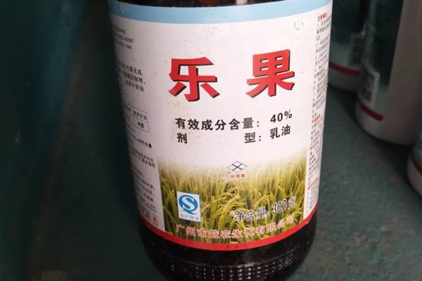 雨季喷农药要注意什么，添加粘着剂可增强防治效果