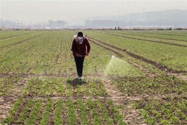 霜脲锰锌可以和什么混用，可以和代森锰锌、丙环唑混用