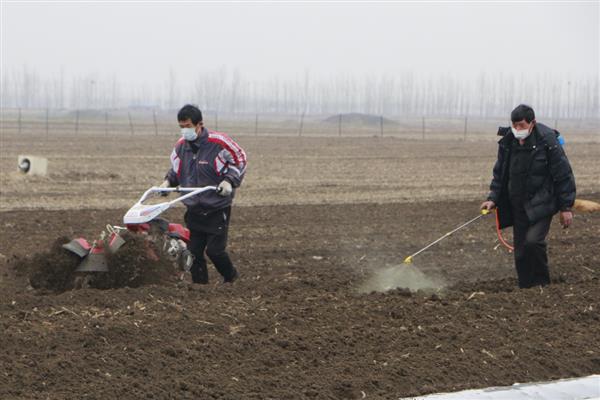 霜脲锰锌可以和什么混用，可以和代森锰锌、丙环唑混用