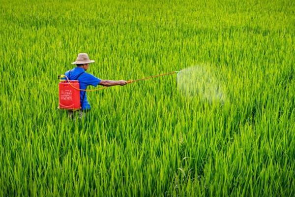 农药与化肥混用原则，只能随混随用