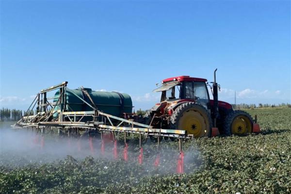 氟虫腈可以杀什么虫，可防治稻螟虫、褐飞虱等害虫