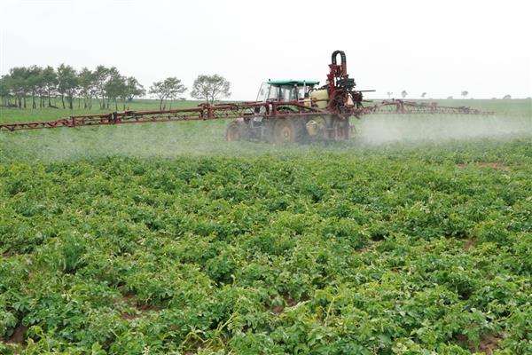 氟虫腈可以杀什么虫，可防治稻螟虫、褐飞虱等害虫