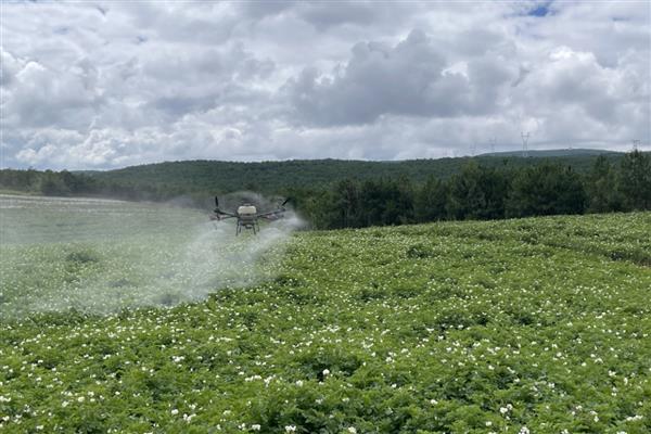 氟虫腈可以杀什么虫，可防治稻螟虫、褐飞虱等害虫