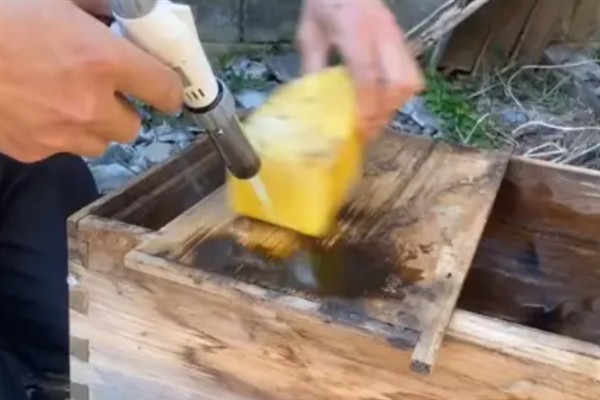 怎样诱蜂最容易，最佳时间是自然分蜂期