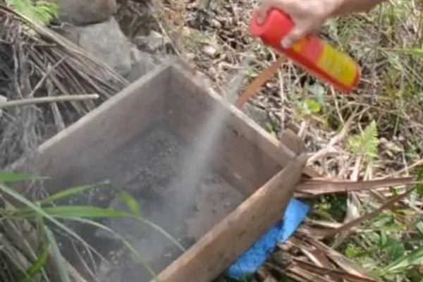 怎样诱蜂最容易，最佳时间是自然分蜂期