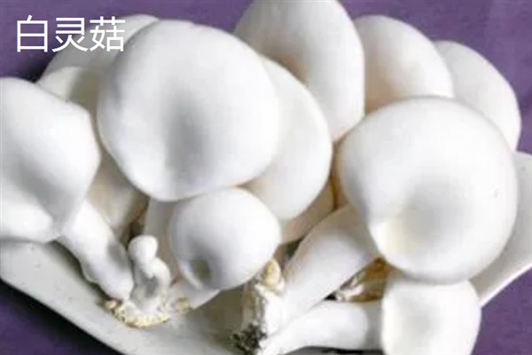 农村种什么东西有高收益，车厘子、香椿、藜麦等作物值得考虑