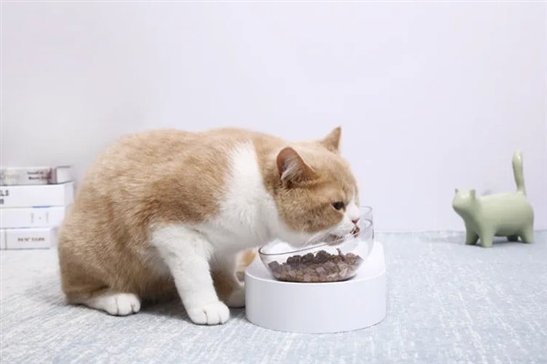 猫咪为什么会挑食，可能是吃了太多零食、食物种类单一等因素所致