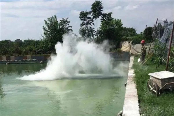 鳊鱼的养殖方法，定期抽出老水注入新水使其保持清澈
