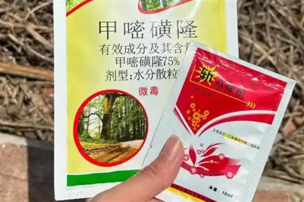 谷子可以使用什么除草剂，单嘧磺隆对阔叶杂草具有良好的防效