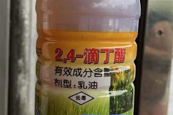 谷子可以使用什么除草剂，单嘧磺隆对阔叶杂草具有良好的防效