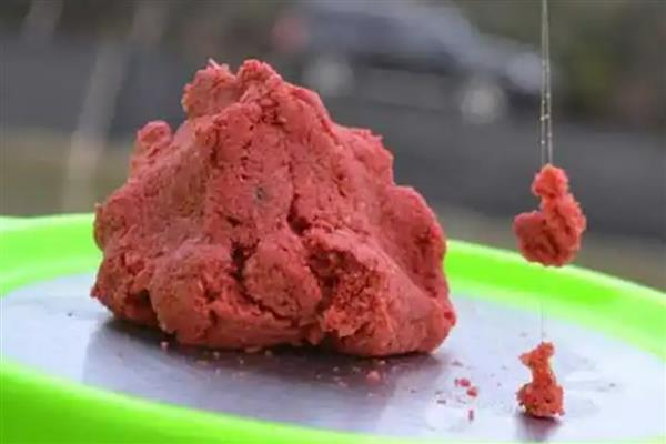 冬季用哪种饵钓鱼，大部分情况下选择腥饵