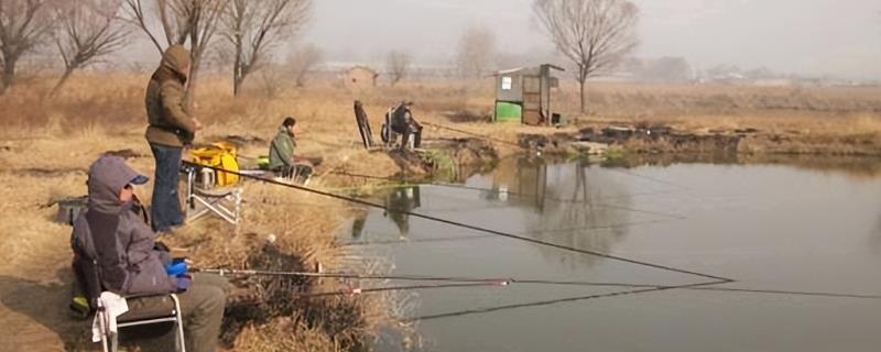 冬天钓草鱼可以用嫩玉米粒吗，可以但效果不好