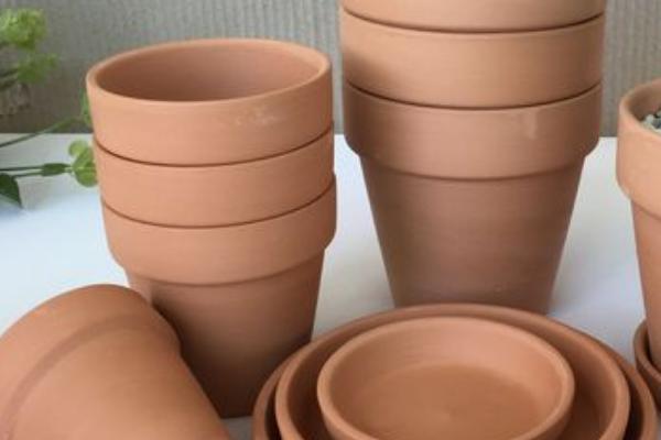 养殖令箭荷花用什么盆,选择大小及深度适宜的泥瓦盆或陶盆