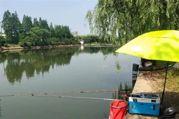 钓100斤以内的鱼用什么巨物竿，战鲟、浪尖巨物、螺纹钢等品牌值得推荐