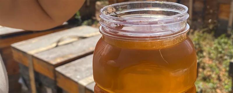 荆条蜜是哪种蜜，是蜜蜂采集荆条花蜜酿制而成的