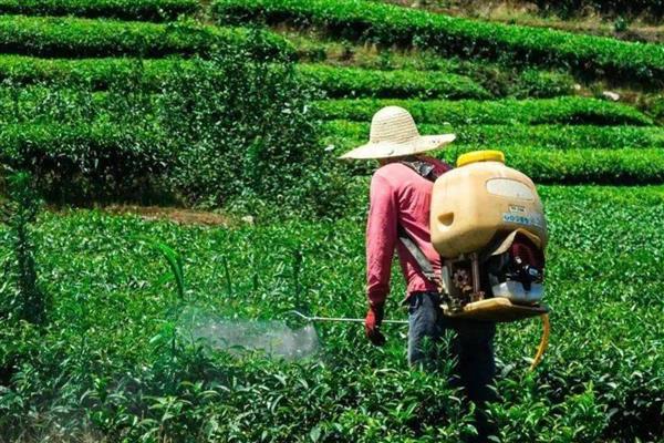 中午喷农药有什么坏处，药液挥发容易引起中毒情况