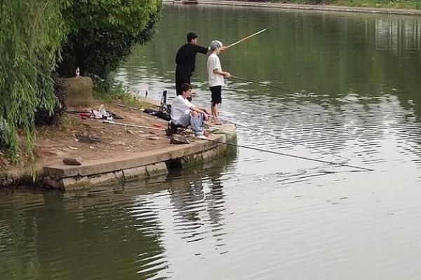 夏天白天钓鱼是钓深还是钓浅，一般是钓深
