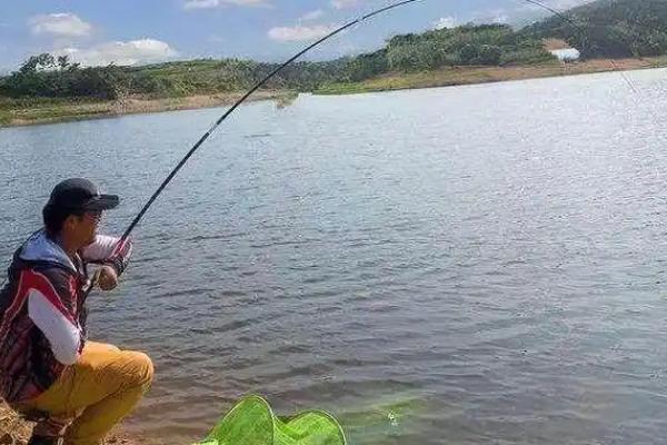 夏天白天钓鱼是钓深还是钓浅，一般是钓深