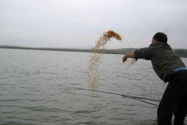 夏天白天钓鱼是钓深还是钓浅，一般是钓深