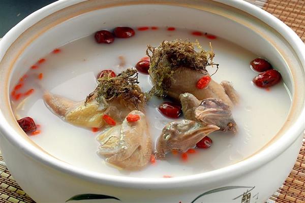 牡丹吊兰能不能吃，花朵和嫩茎具有食用价值