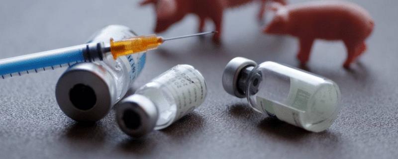 氯前列烯醇对母猪有哪些危害，按说明书使用便不会产生危害