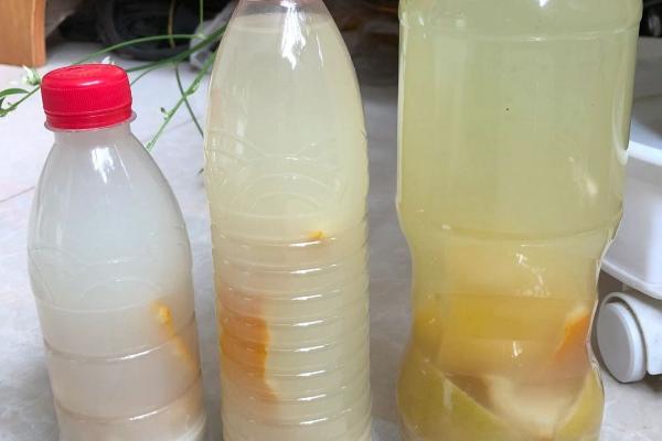 洗米水能浇花吗，洗米水可以浇花