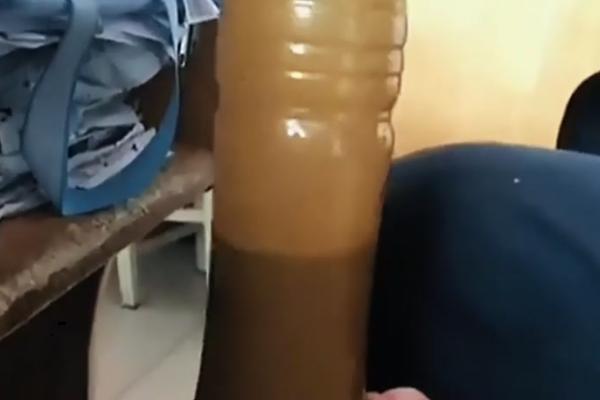 将鱼内脏做成花肥的方法，放入容器中并加水密封沤制一段时间即可