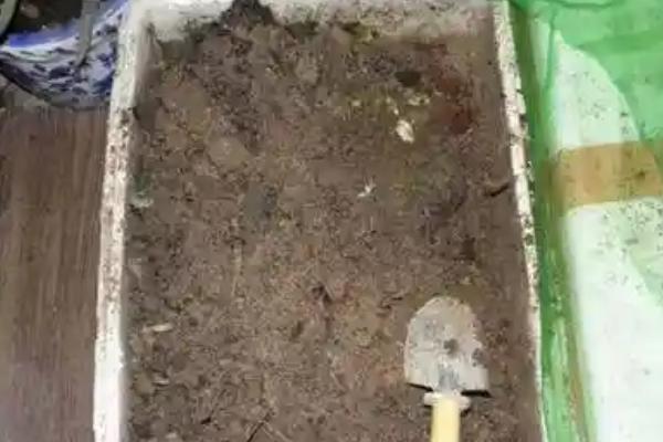 将鱼内脏做成花肥的方法，放入容器中并加水密封沤制一段时间即可