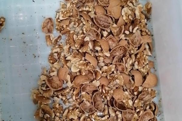 将鱼内脏做成花肥的方法，放入容器中并加水密封沤制一段时间即可
