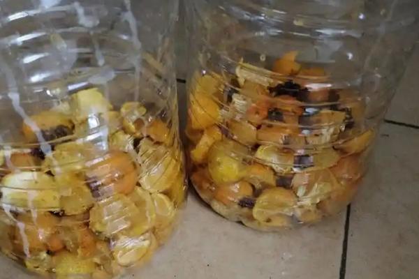 将鱼内脏做成花肥的方法，放入容器中并加水密封沤制一段时间即可