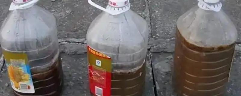 将鱼内脏做成花肥的方法，放入容器中并加水密封沤制一段时间即可