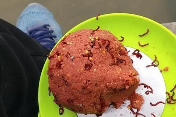 水库钓鲫鱼用什么饵料，不同季节选择不同饵料