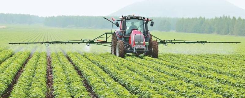 大豆苗后除草剂的种类，常用高效盖草能、烯禾啶等药物