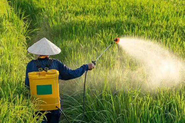 大豆苗后除草剂的种类，常用高效盖草能、烯禾啶等药物
