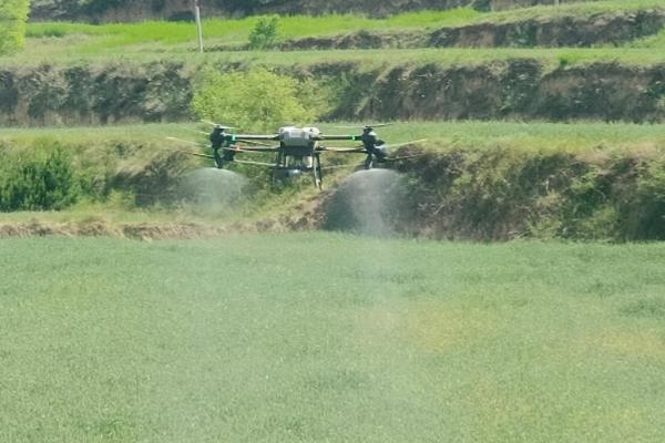 大豆苗后除草剂的种类，常用高效盖草能、烯禾啶等药物