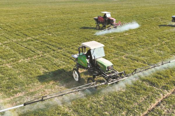 大豆苗后除草剂的种类，常用高效盖草能、烯禾啶等药物