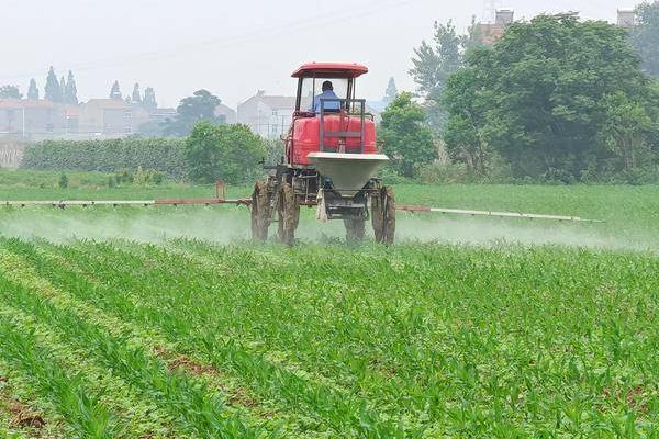 大豆苗后除草剂的种类，常用高效盖草能、烯禾啶等药物