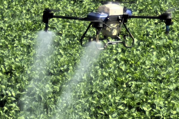 大豆苗后除草剂的种类，常用高效盖草能、烯禾啶等药物