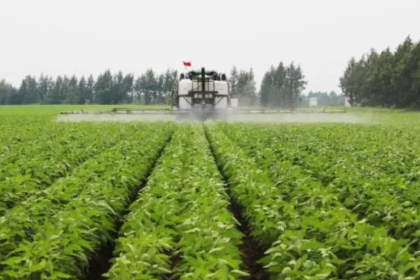 大豆苗后除草剂的种类，常用高效盖草能、烯禾啶等药物